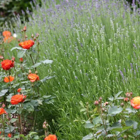 Monteur-/und Diehl * Asslar