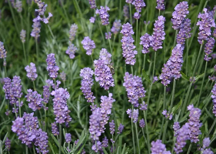 Lägenhet Monteur-/und Diehl Asslar