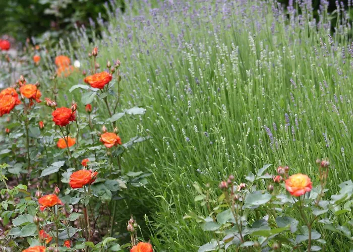 Monteur-/und Diehl * Asslar